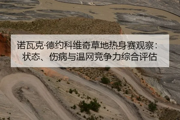 nuo-wa-ke-de-yue-ke-wei-qi-cao-di-re-shen-sai-guan-cha-zhuang-tai-shang-bing-yu-wen-wang-jing-zheng-li-zong-he-ping-gu-2-213.jpg